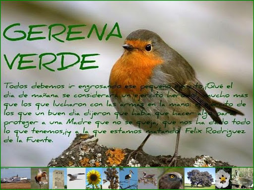 GERENA VERDE