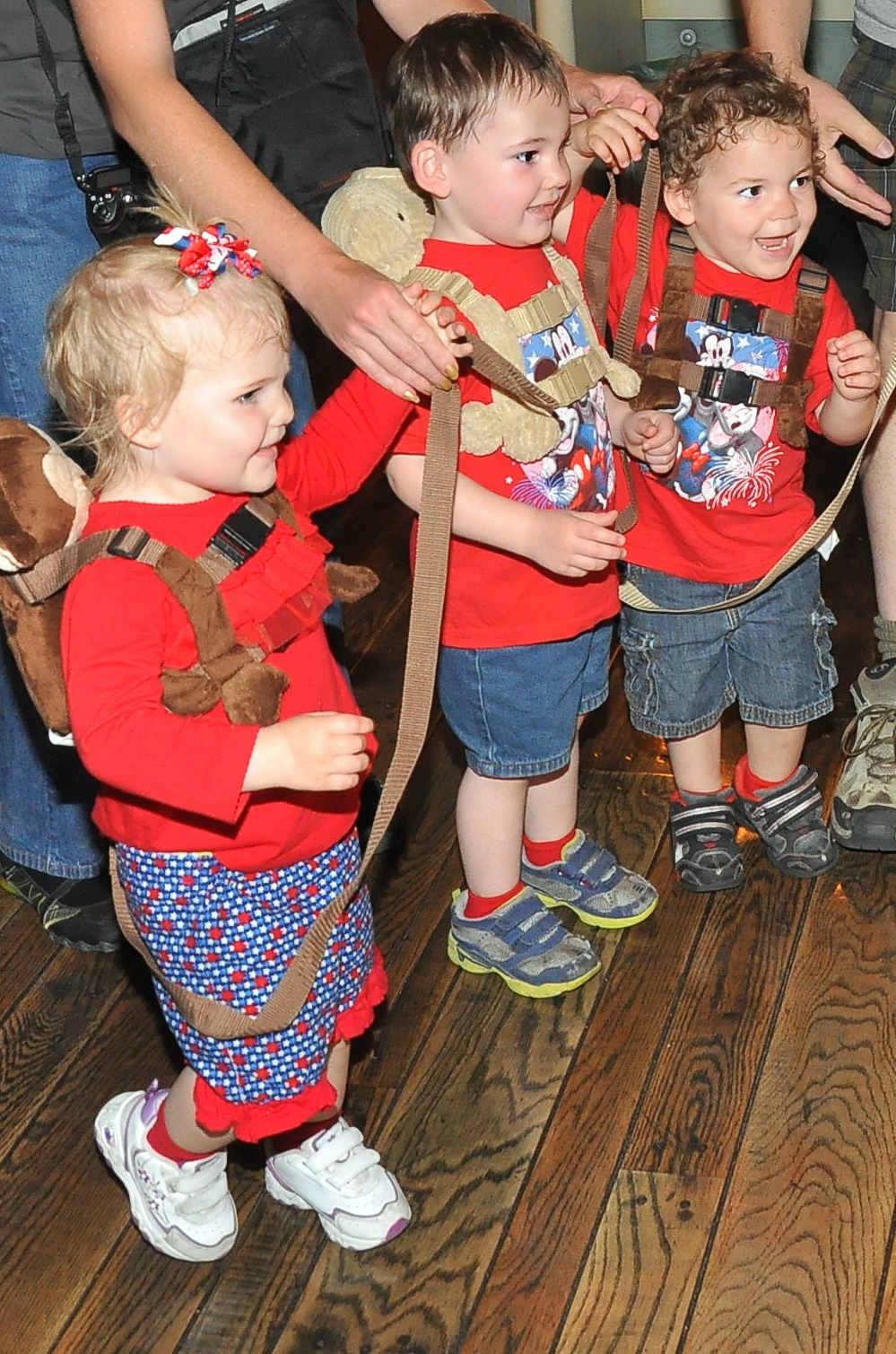 Capri + 3 Toddler HarnessesTried in the Court of Public Opinion