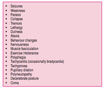 insulinoma in dogs insights into veterinary endocrinology insulinoma in dogs cat and ferrets insulinoma in dogs insights into veterinary endocrinology insulinoma in dogs cat and ferrets