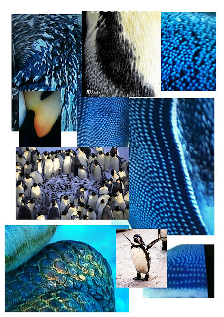 Suzanne Fraser: Penguin mood board