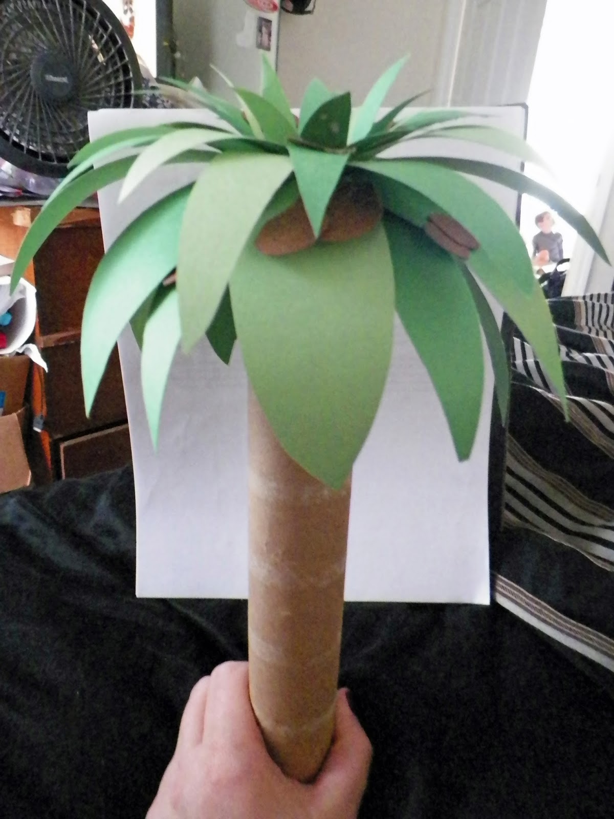 Essay on coconut tree for class 2 picture