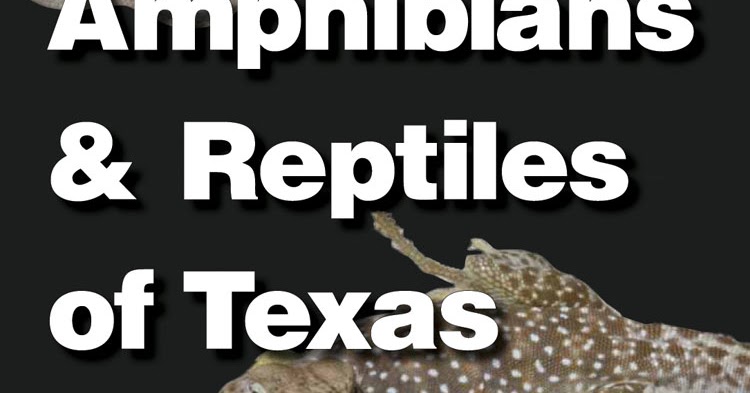 Texas A&M University Press: You're Ultimate Guide to Texas Reptiles and