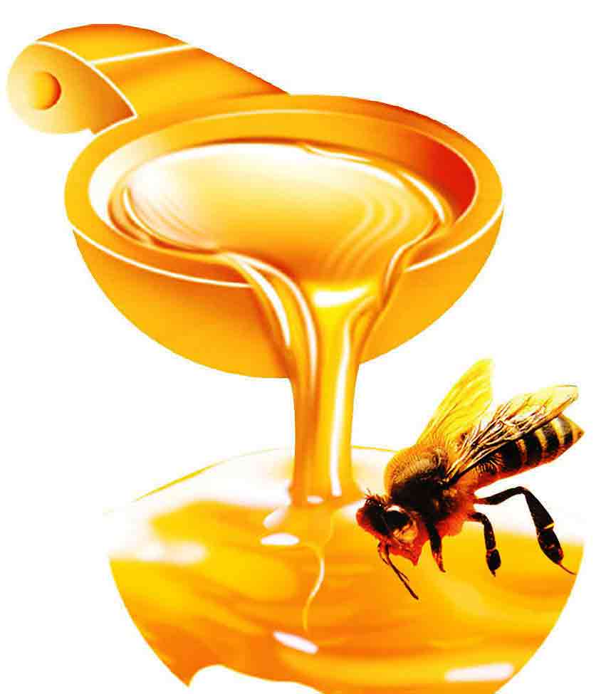 Fruits & Vegetables Benefits pure honey benefits