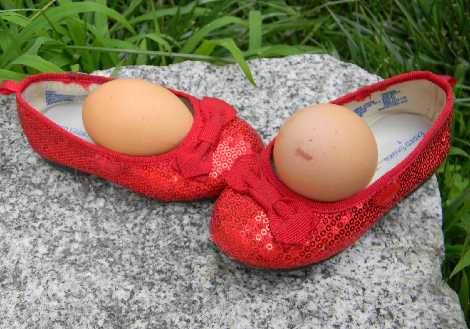 Chickens, eggs and rubby red shoes.