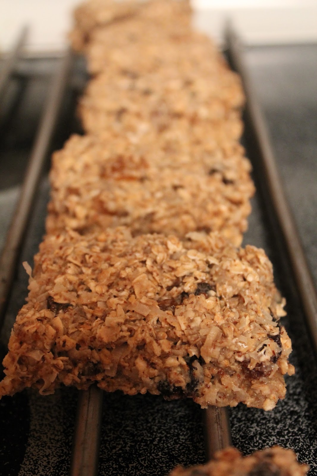 Gluten Free Casually: Protein Breakfast Bars (Gluten Free)