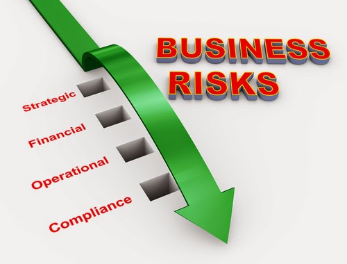 Business Plan Risks