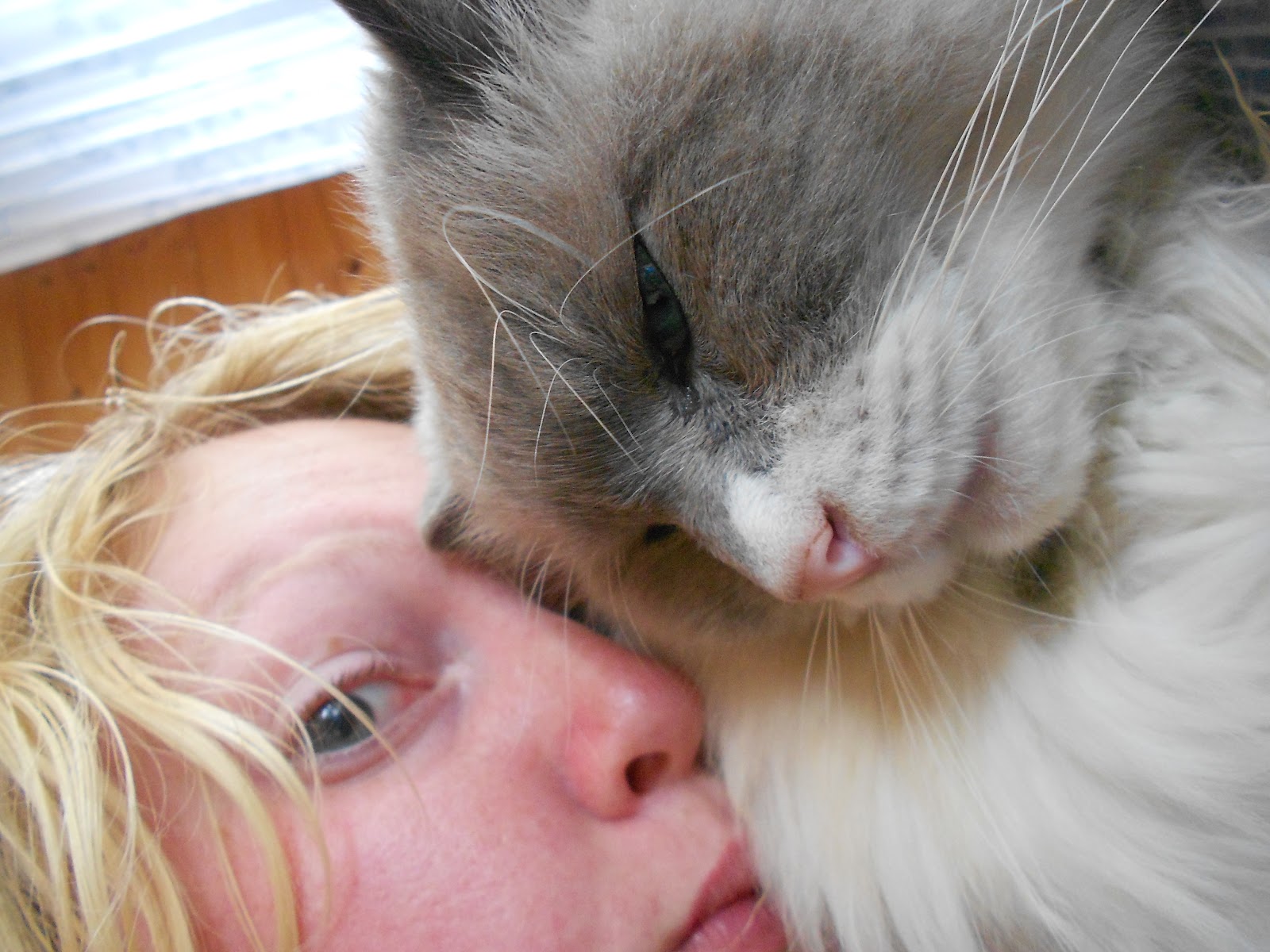 Ugly Cat Girl