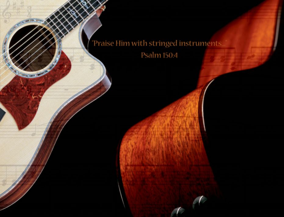 Taylor Guitars Taylor Guitars