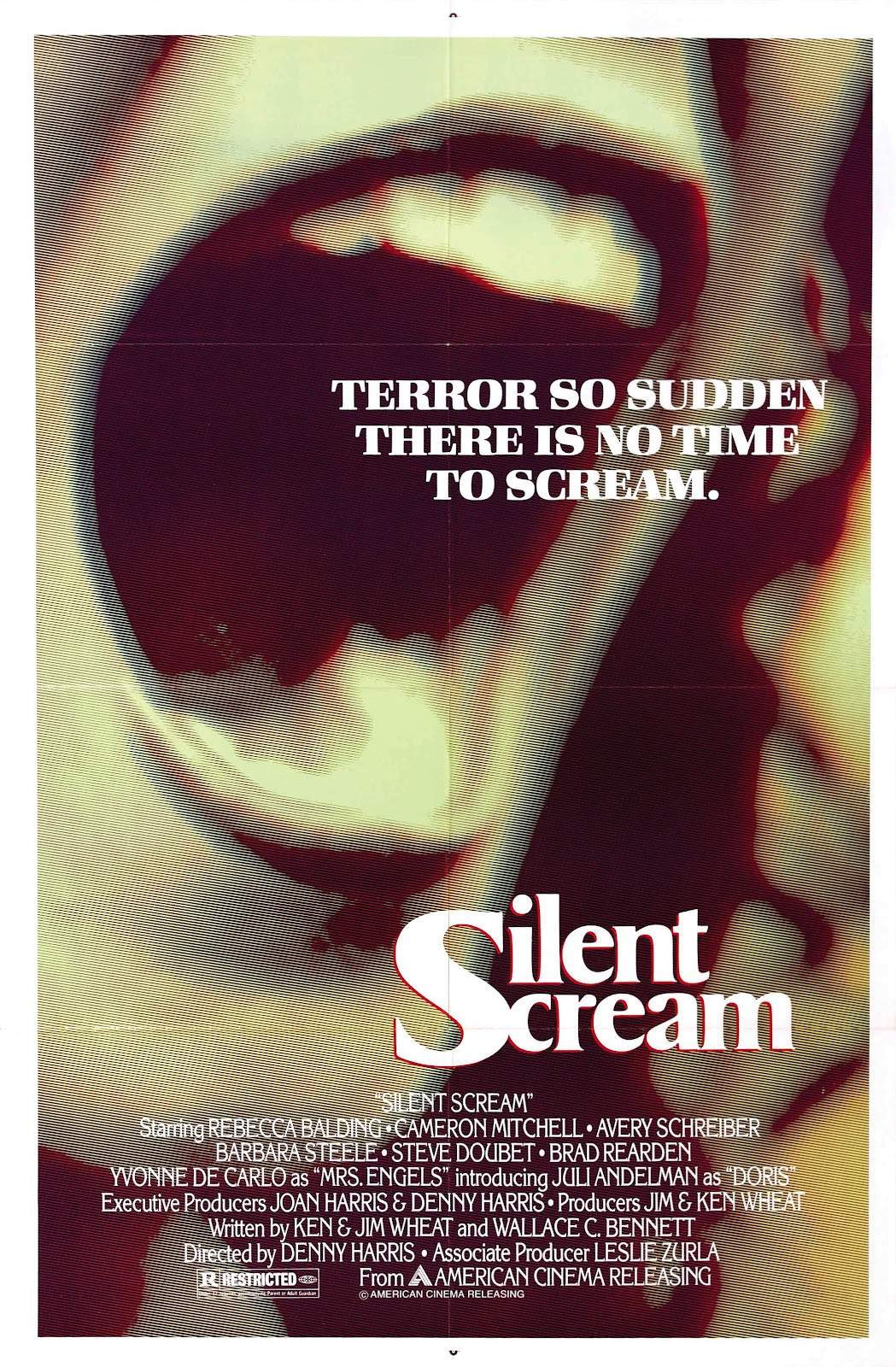 Groovy Doom Silent Scream (1980)