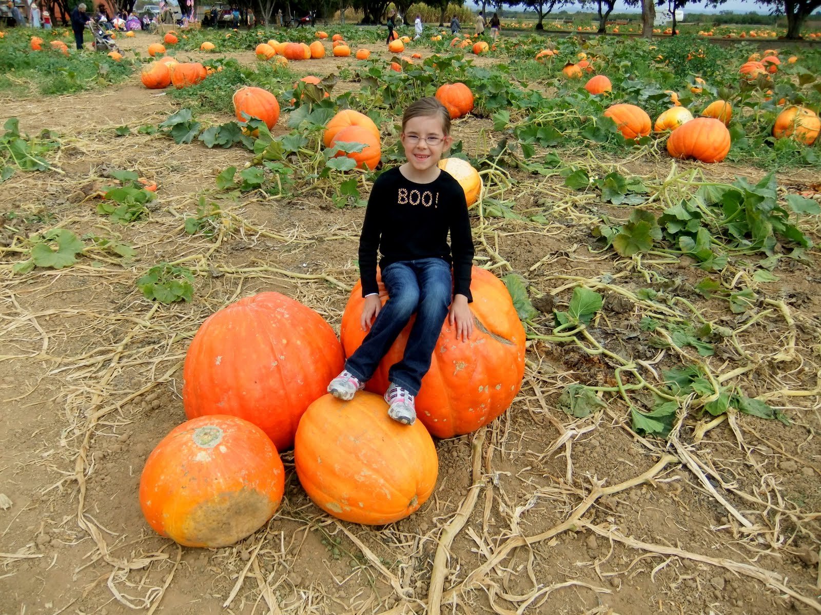 California Cullumber Family Pumpkin Patch
