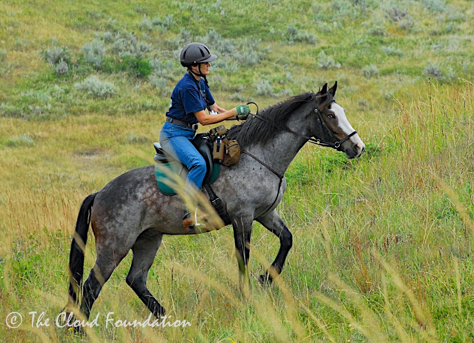 Marylu on High Star's Hawk