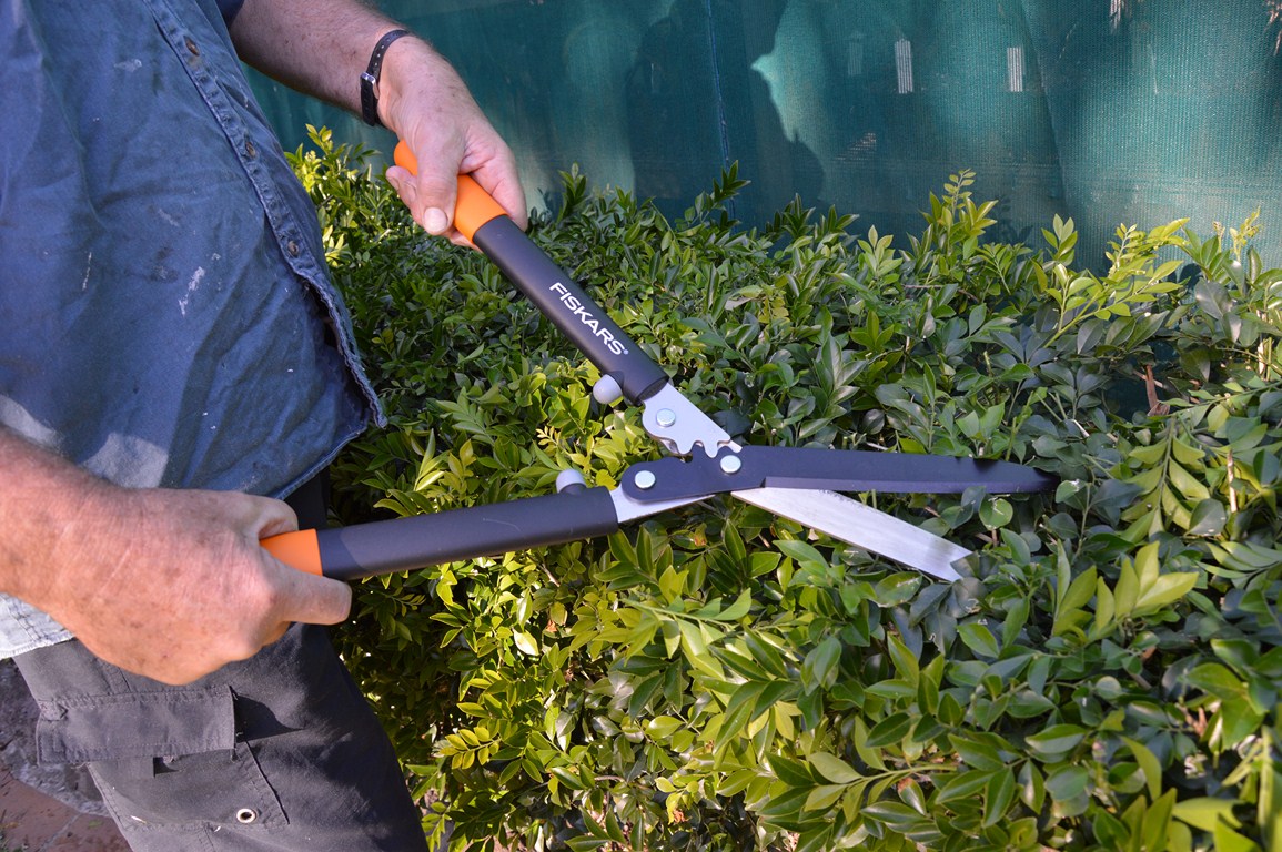 Garden Product Reviews Hedge Shears
