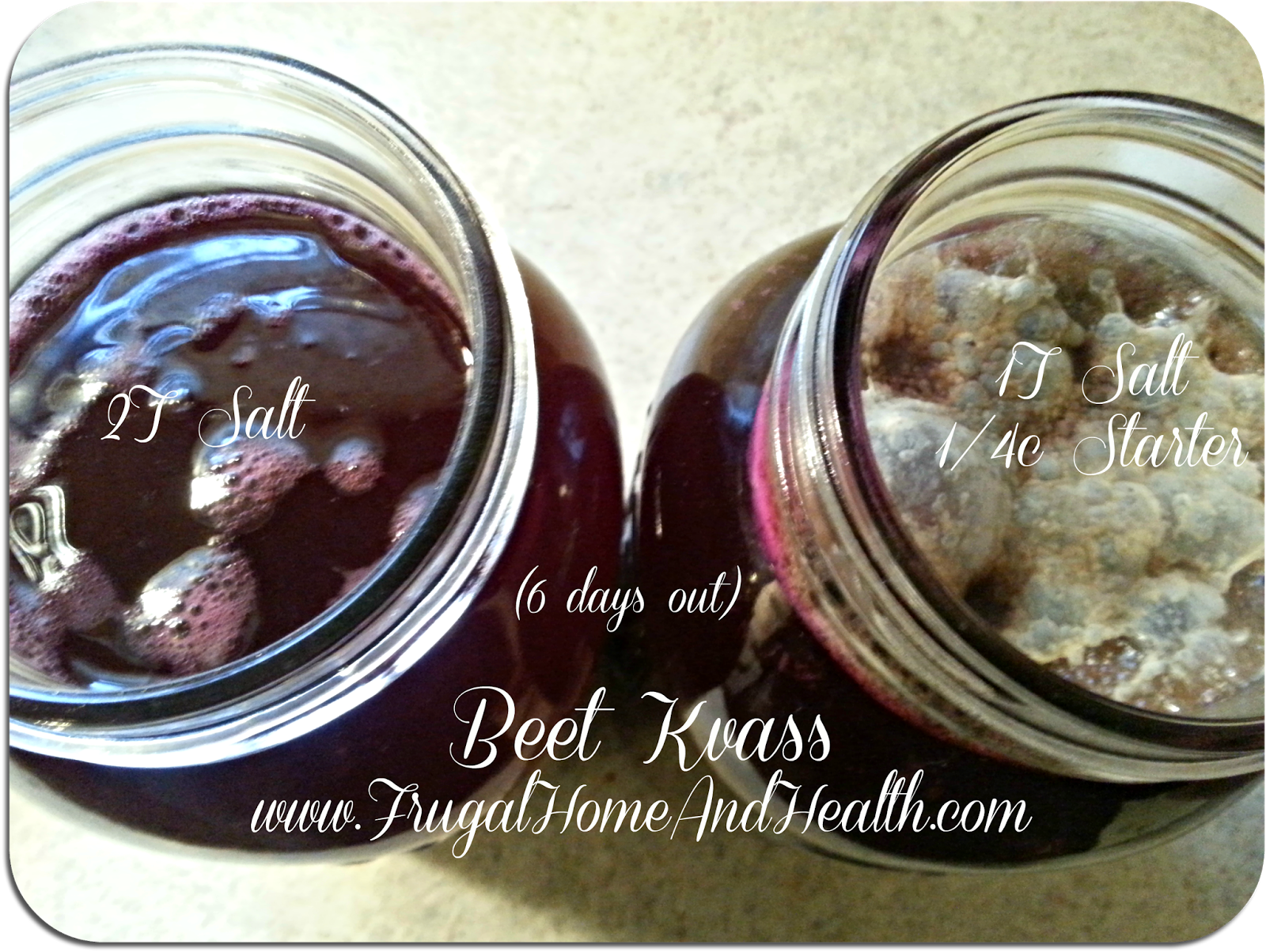 Frugal Home and Health Beet Kvass LactoFermented Super Tonic HowTo Tutorial