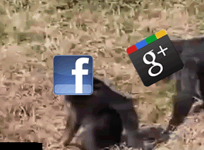 google plus