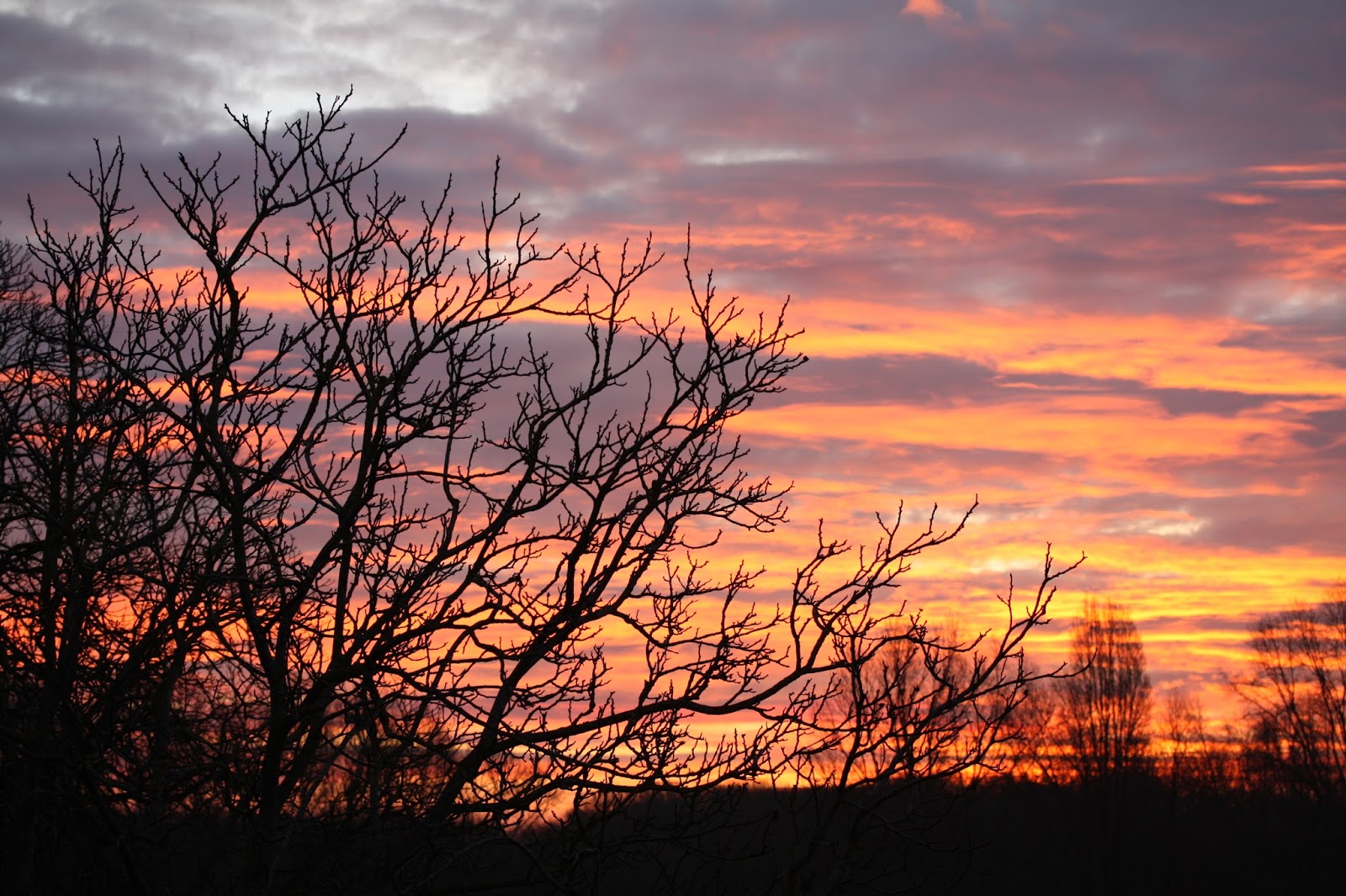 rencontres improbables afij