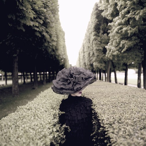 home THE GARDEN. A METAPHOR FOR LIFE. by invitation.......