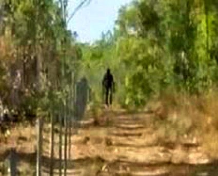 the characteristics of bigfoot a mythical creature Sometimes it seems to waver between myth and fact whenever large footprints or a sighting of a large man-like creature has been reported some people consider bigfoot to be a myth there are five main characteristics of bigfoot footprints to take into consideration: 1. the characteristics of bigfoot a mythical creature Sometimes it seems to waver between myth and fact whenever large footprints or a sighting of a large man-like creature has been reported some people consider bigfoot to be a myth there are five main characteristics of bigfoot footprints to take into consideration: 1.