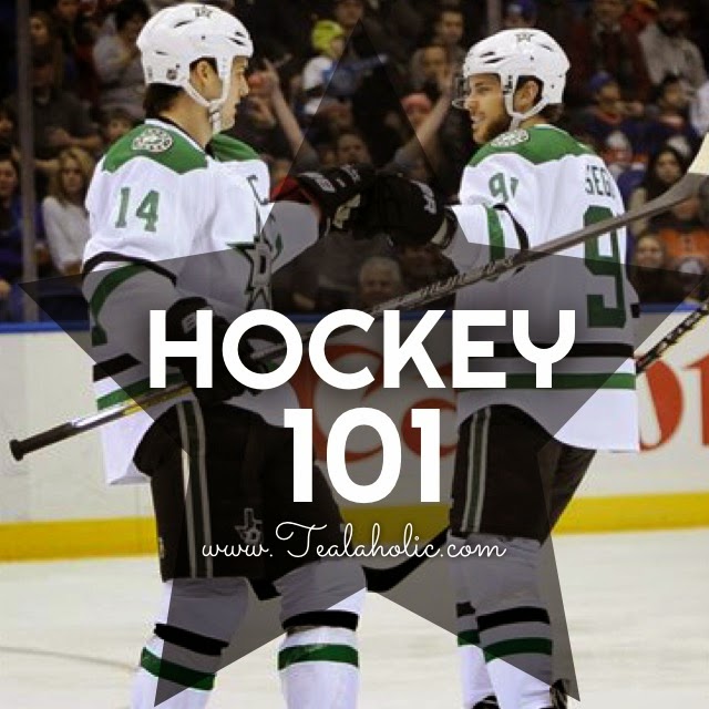Hockey 101 For Complete Hockey Newbs