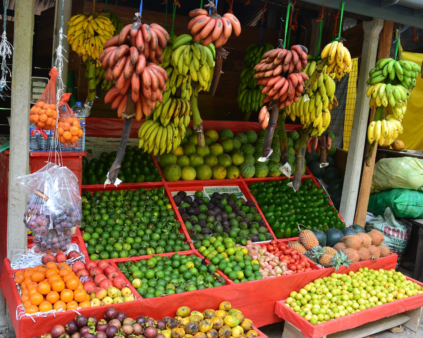 sri lankan culture essay