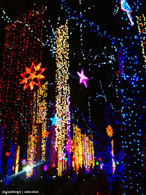 Christmas Found: Christmas Outdoor Lights Insperation