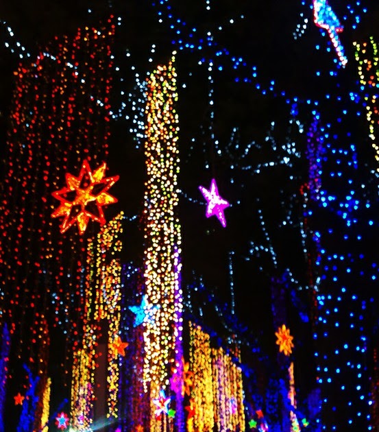 Christmas Found: Christmas Outdoor Lights Insperation