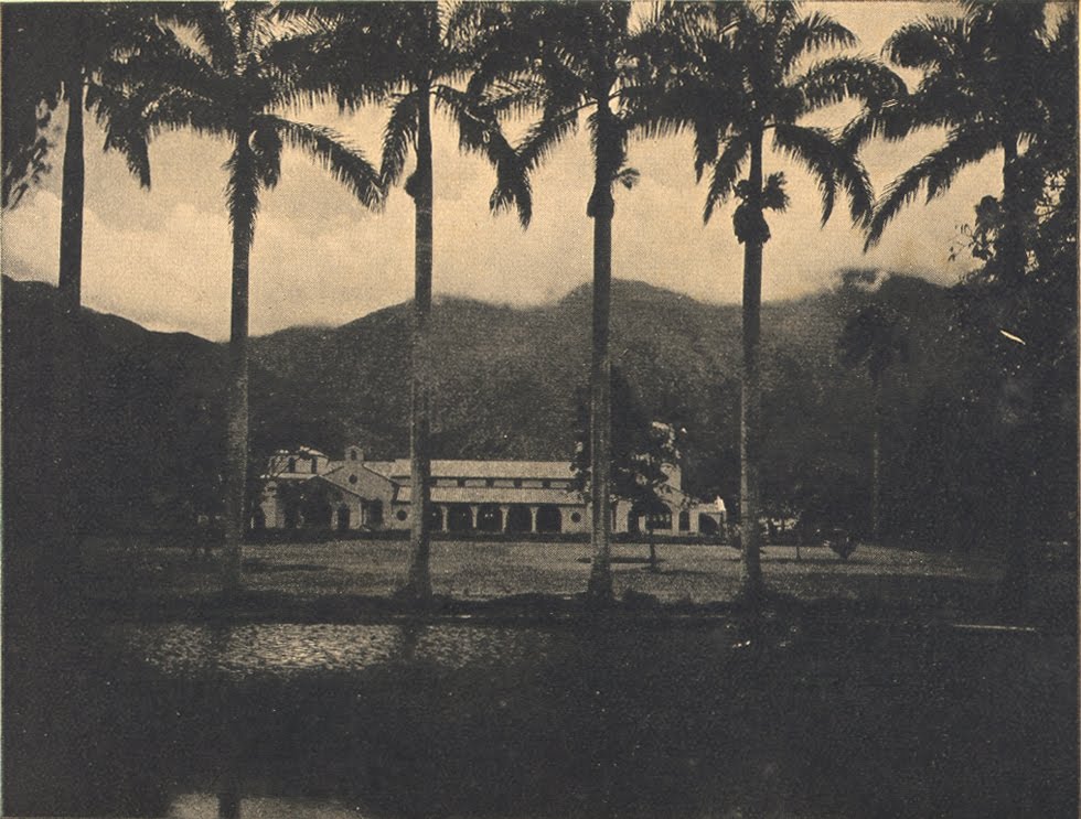 Dicionario Aurelio 7 Nova Ortografia Rar