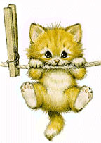 3D Gif Animations - Free download i love you images photo background  screensaver e-cards: Kitten in pegs ......free funny cartoon ecards mobile  smart iphone screensaver and power point slide ...... category: cat