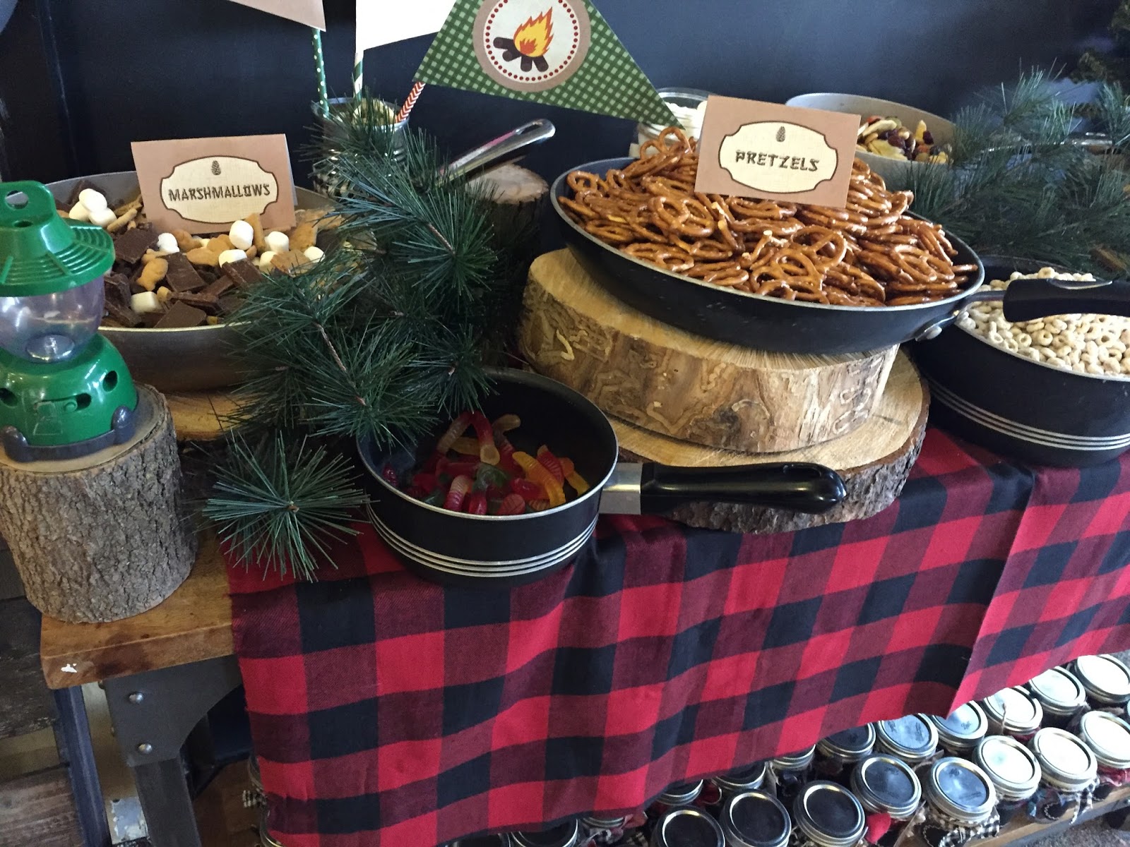 NatalieKMudd: Camp Theme Birthday Party