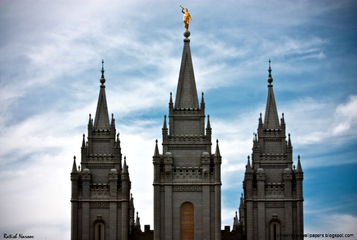 Nature Archives Page 2 of 3 Ratish Naroor Photography Nature Archives Page 2 of 3 Ratish Naroor Photography