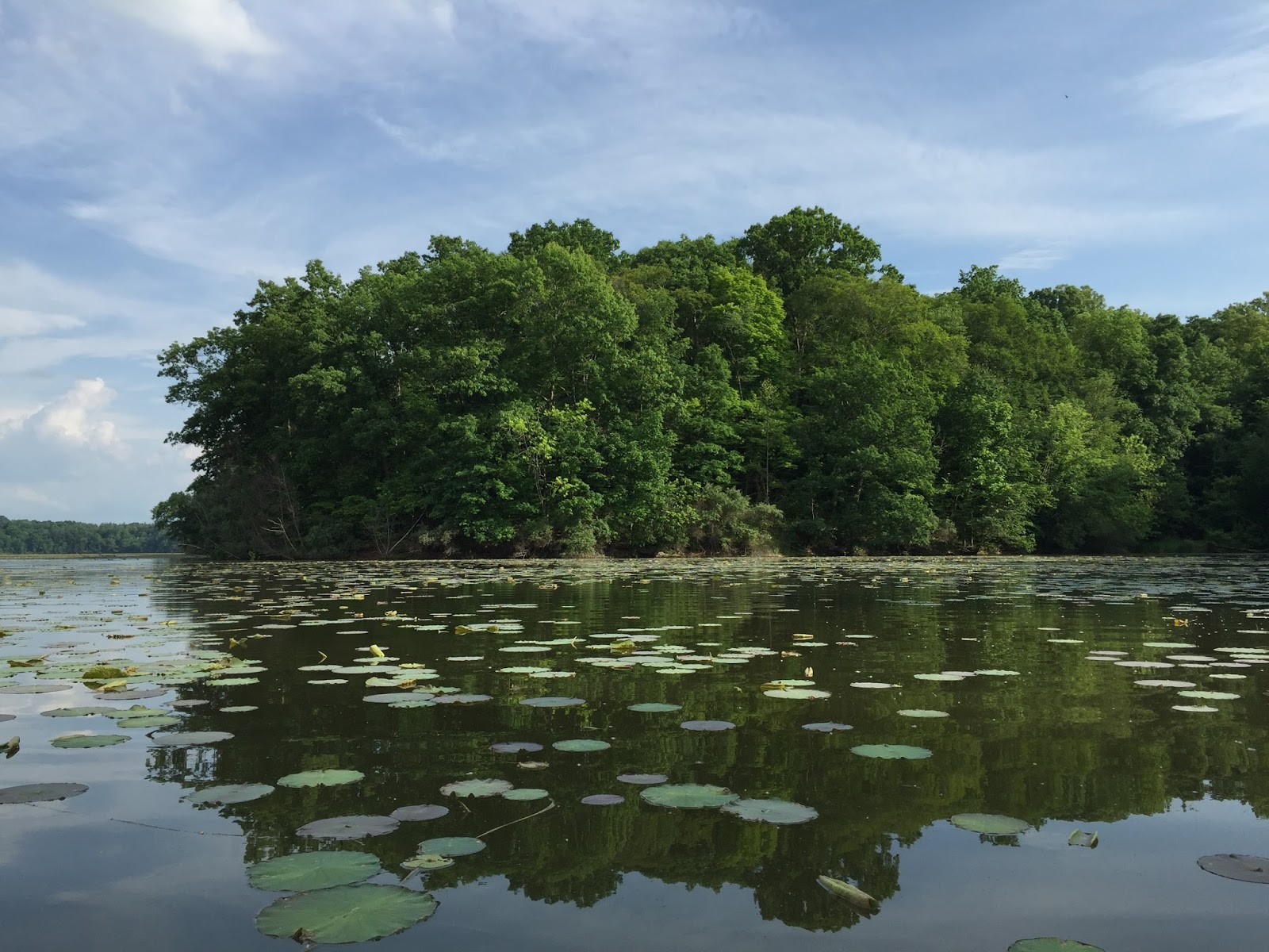 Kayaking Across Ohio Piedmont Lake Feels Like You Are Miles From