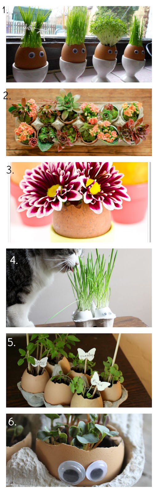 Repurpose Planting in eggshells... the ReFab Diaries