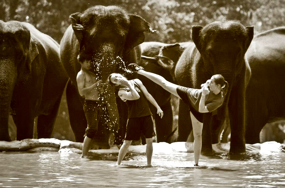 Living the Bucket List Life 111 Blow into the Trunk of an Elephant