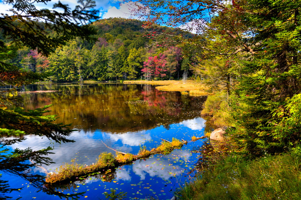 Adirondack Photography Fall Reflections on Cary Lake