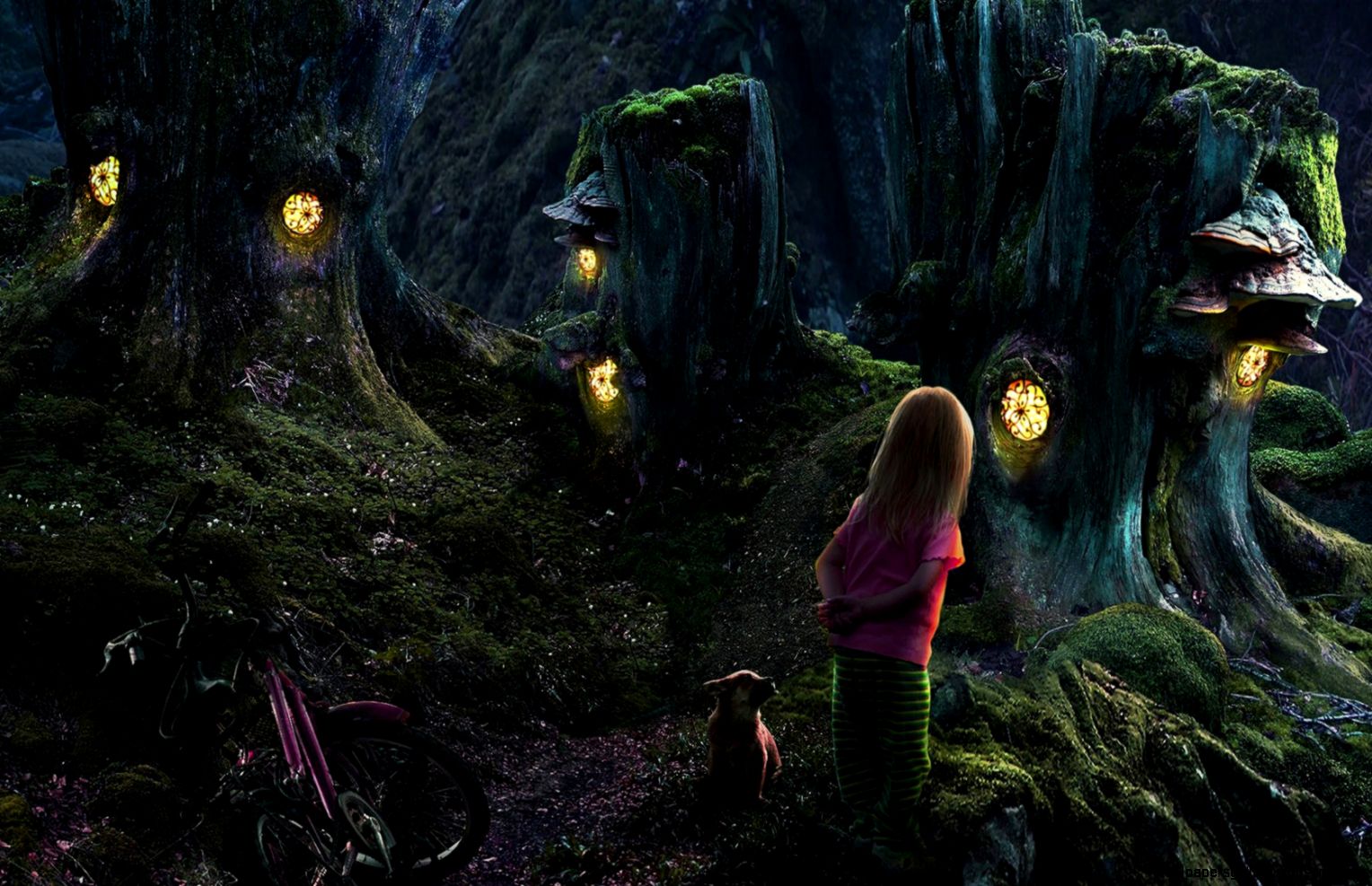 142 Forest HD Wallpapers Backgrounds Wallpaper Abyss 142 Forest HD Wallpapers Backgrounds Wallpaper Abyss