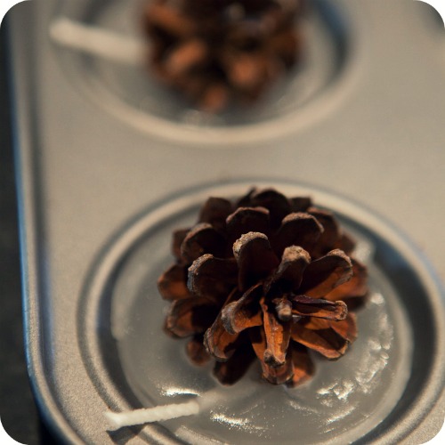 Spirited Shannon Wax & Pine Cone Firestarters A Tutorial