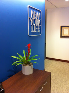 pricing for interior office plant care ; pricing for flowering rotational programs;