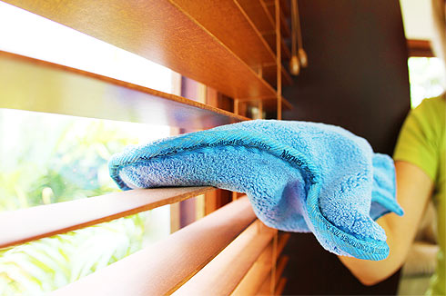 our green clean home