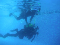 BUCEO