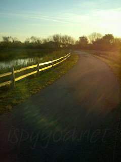 early morning shot of walking path around small pond