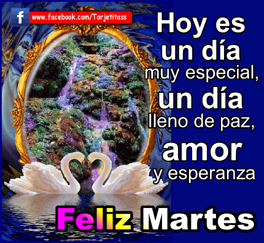 Resultado de imagen de feliz martes gif animados