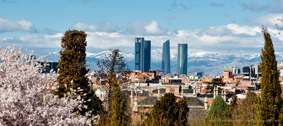 Madrid, Winter 2011 - Viewed for the Cemetery of La Almudena