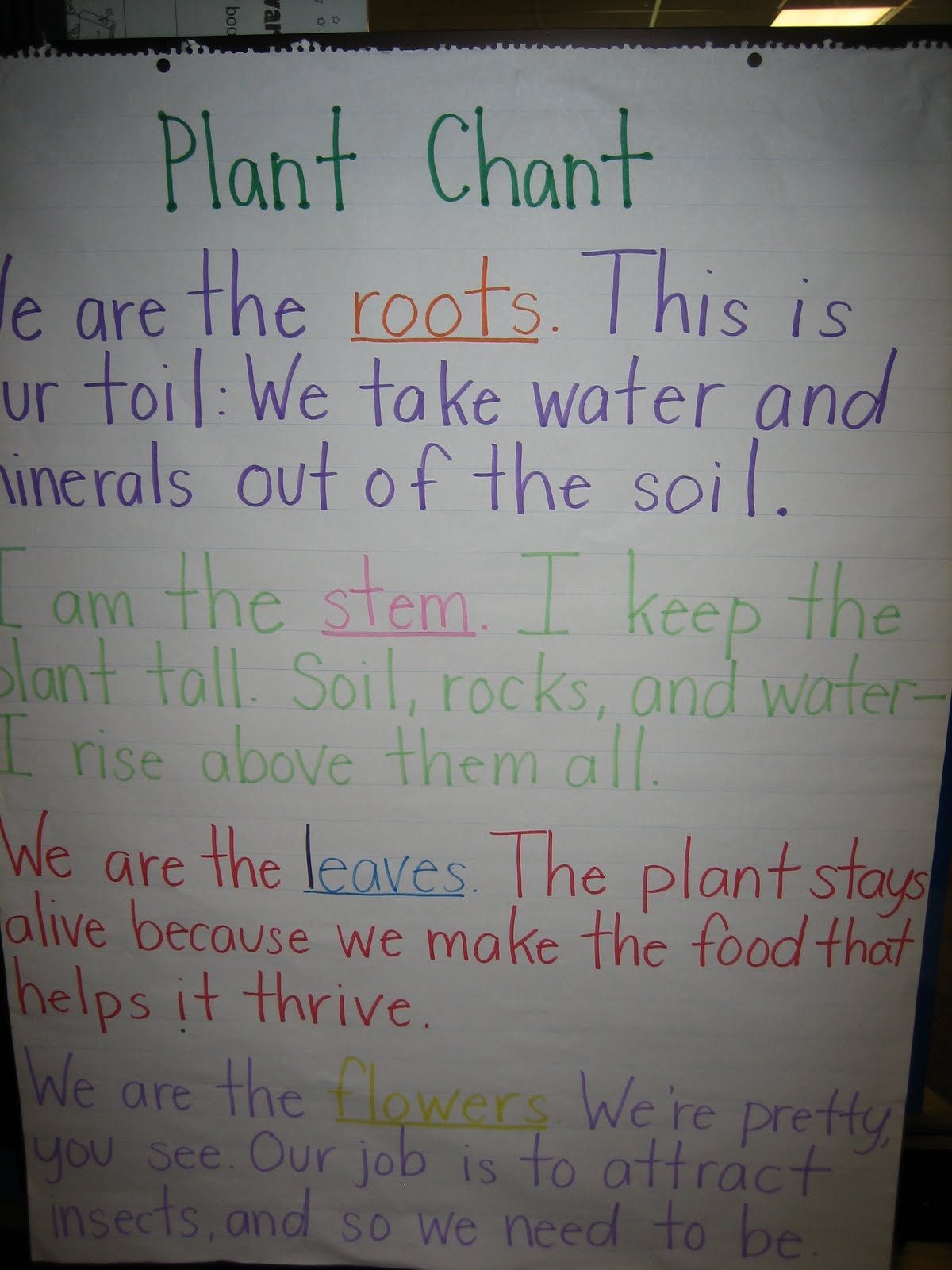Plant Life Cycle Pictures For Second Grade - Gay And Sex