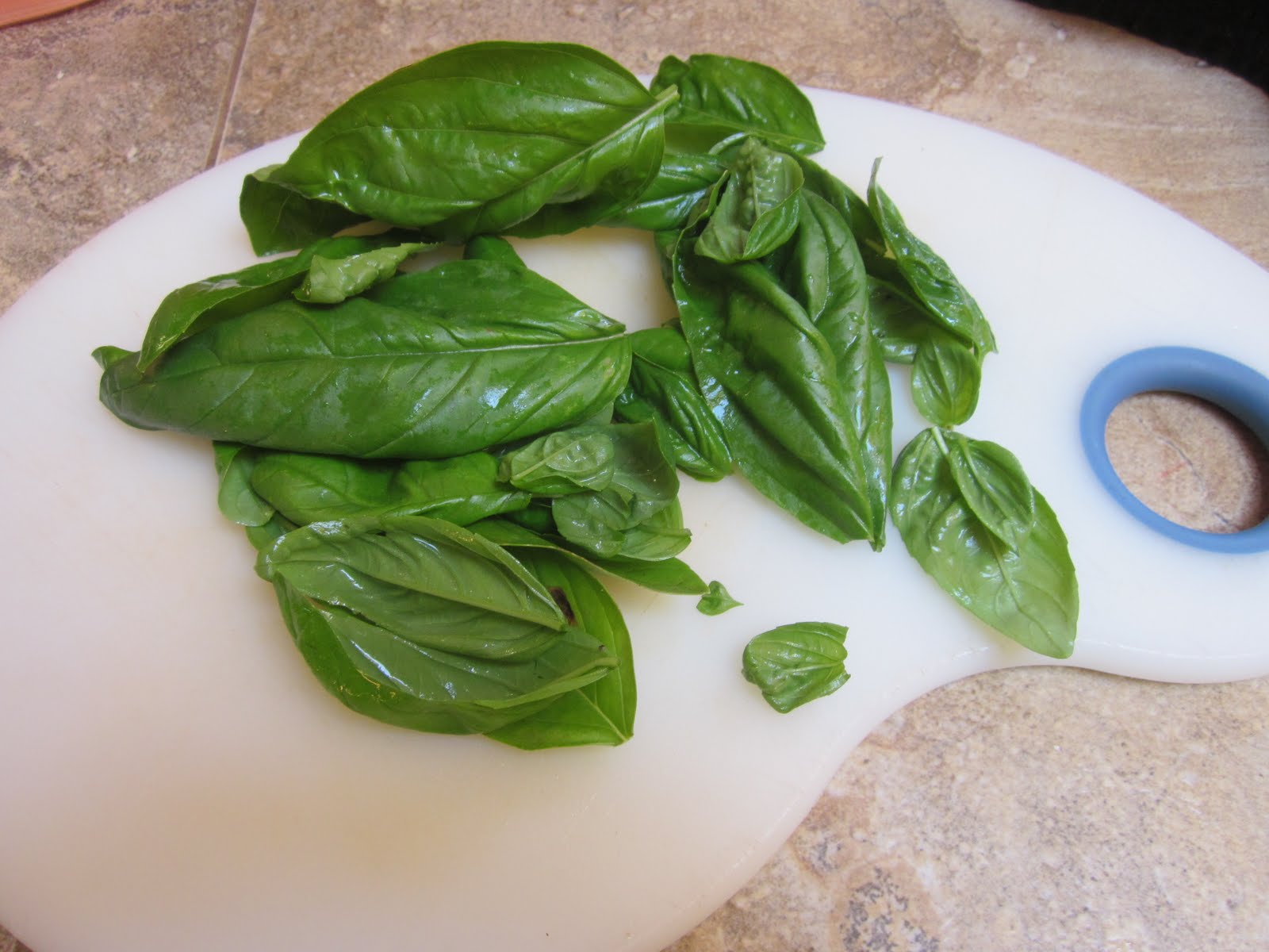ID Mommy How to Harvest, Dry, and Preserve Fresh Basil