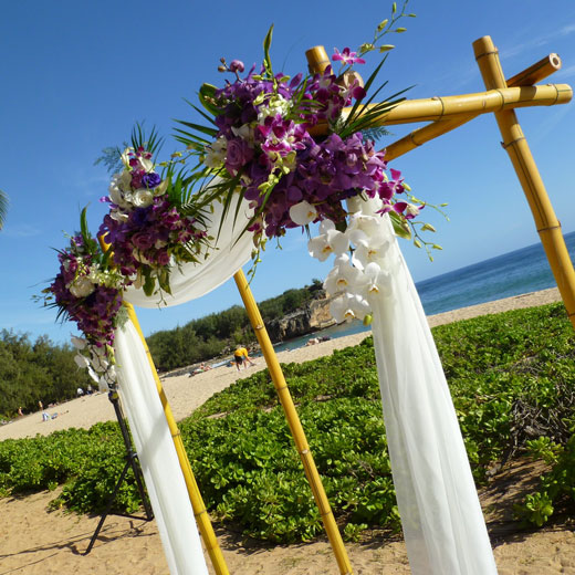 Bamboo Worktops Photos Bamboo Wedding Arbor