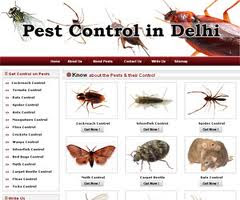 Cockroach Control  Delhi