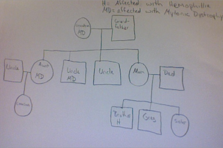 family tree pedigree project