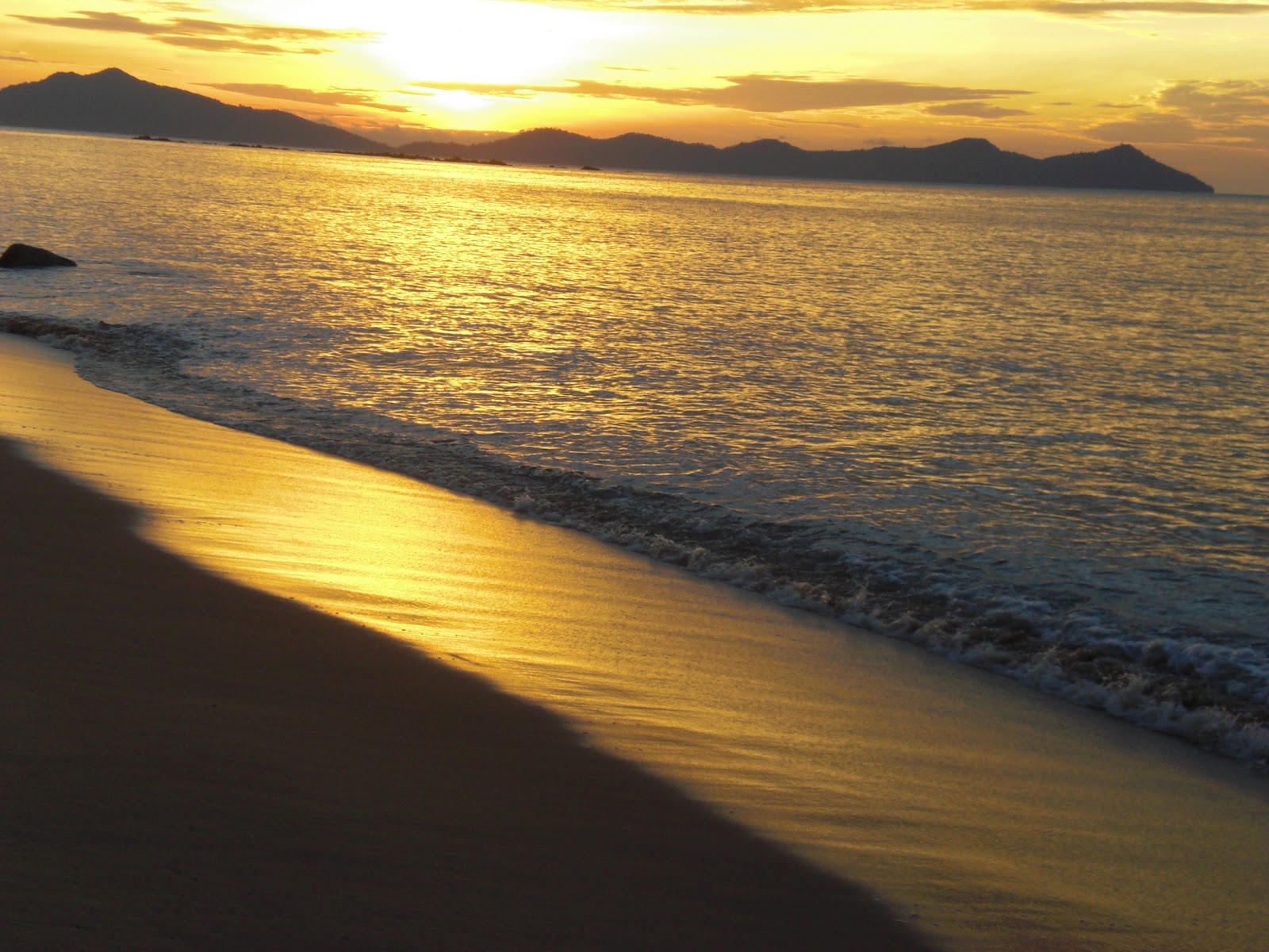 [Image: CIMG2905.JPG]