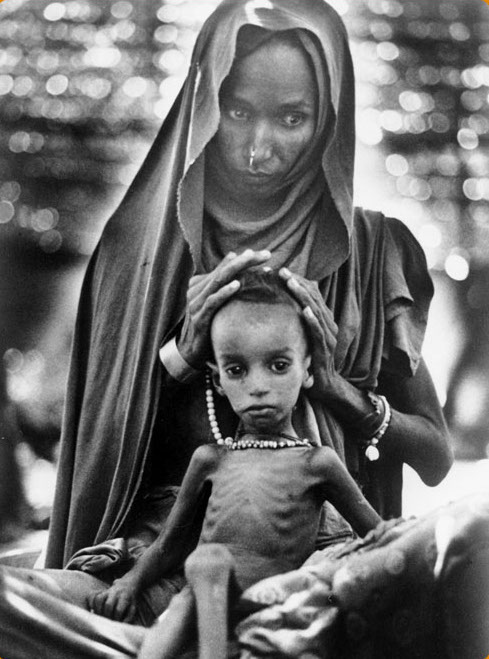 "Cultivation of Intimacy"