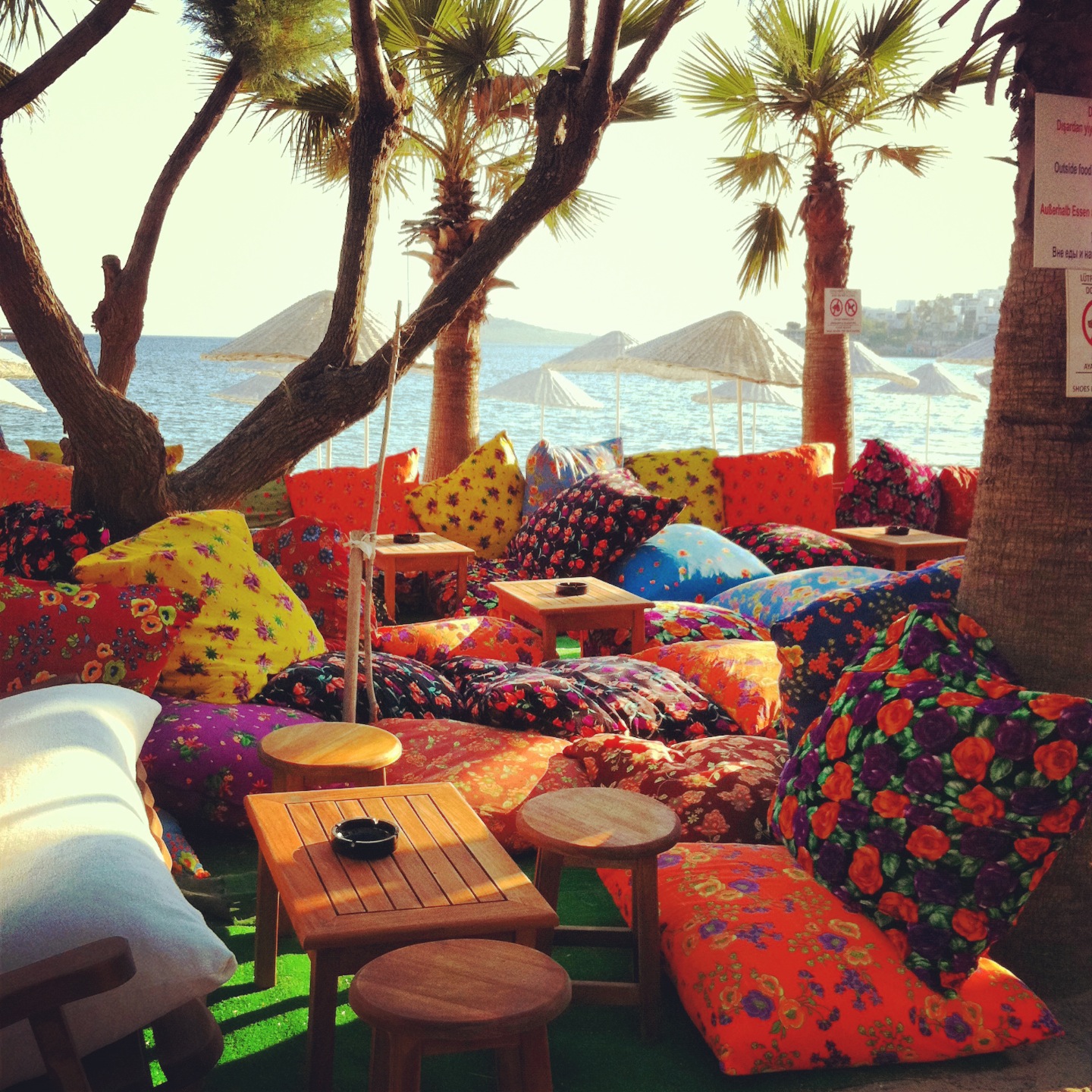 Bodrum A Dair Her Sey Okaliptus Beach Bitez