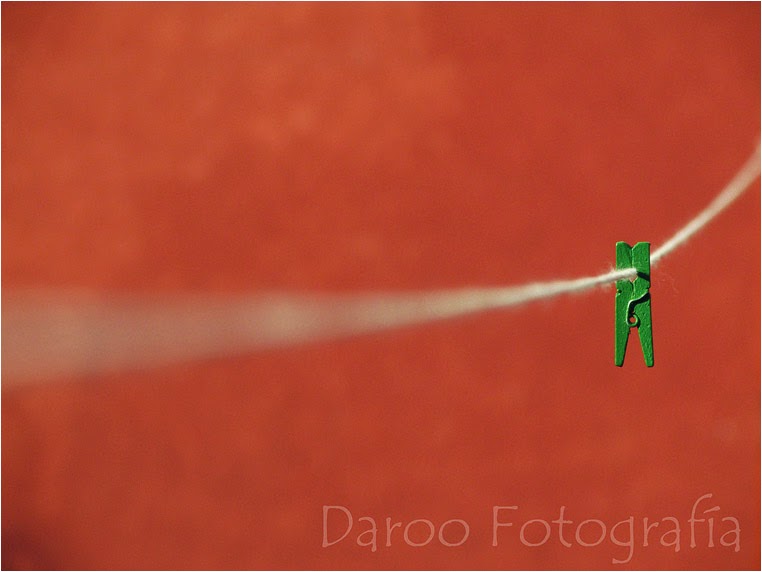 Compact Camera, Best Photo of the Day in Emphoka by Daroo Fotografia, Canon PowerShot SX500 IS, https://flic.kr/p/oXnGA3 Daroo Fotografia, Canon PowerShot SX500 IS, https://flic.kr/p/oXnGA3